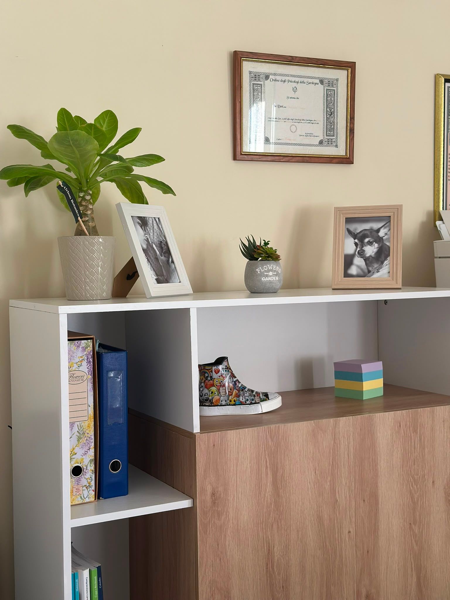 Angolo dello studio con la libreria, i diplomi incorniciati e alcune fotografie personali